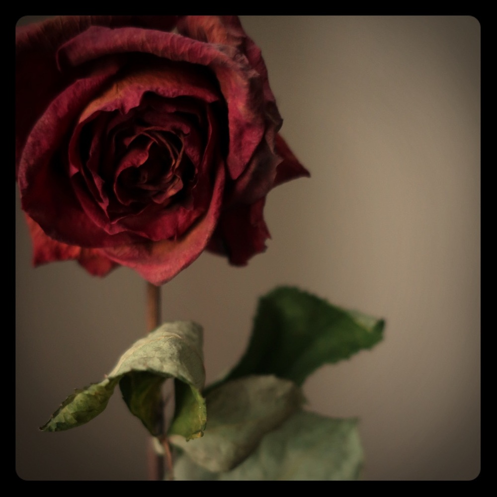 Meet your Posher, Harper